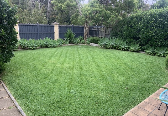 Lawn, Central Coast, Mowing, Free Quote